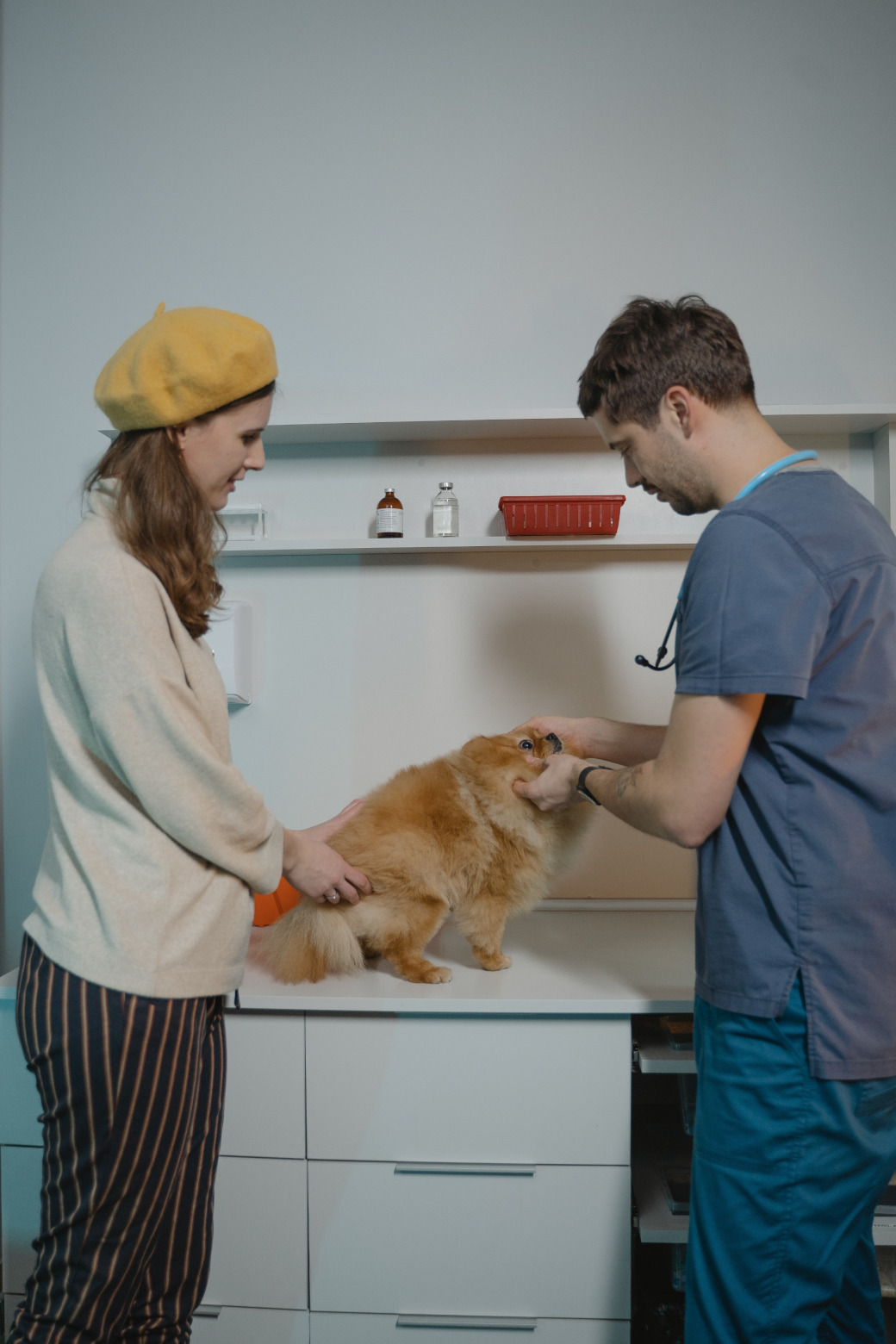 Veterinaria del Noroeste